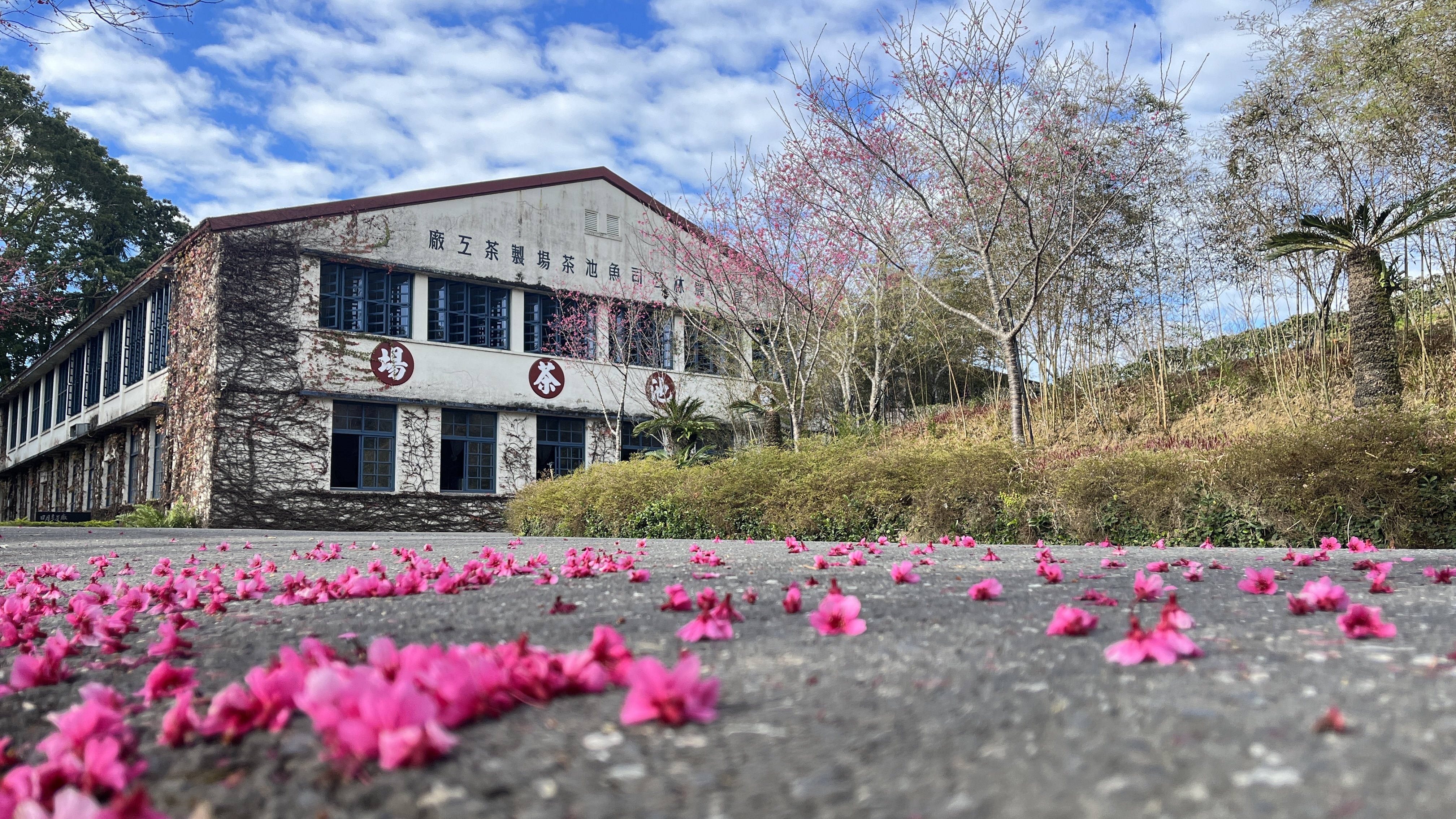 IMG_3473.JPG 的副本